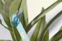 PlantTag egyedi növénycímke