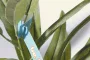 PlantTag egyedi növénycímke