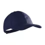 Banks baseball sapka
