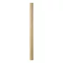 Carpenter ceruza