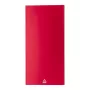 RaluSol power bank