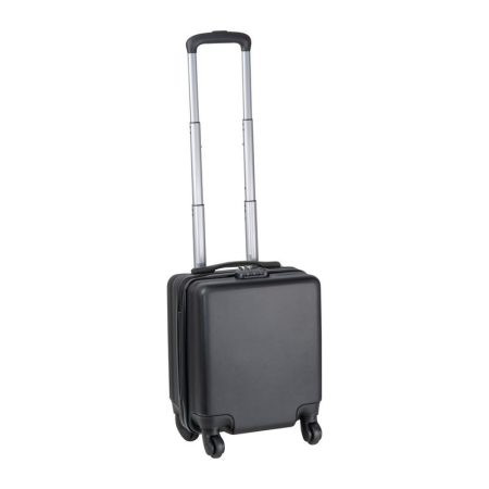 Palmas kézipoggyász