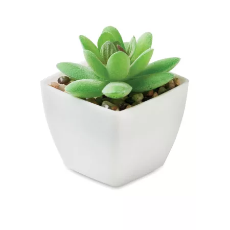 Mini műnövény, graptopetalum