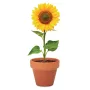 Terrakotta ültető, napraforgó