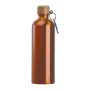 Rozsdamentes acél ivópalack karabinerrel, 750ml