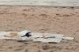 VINGA Alba GRS újrahasznosított PET piknik takaró nagy